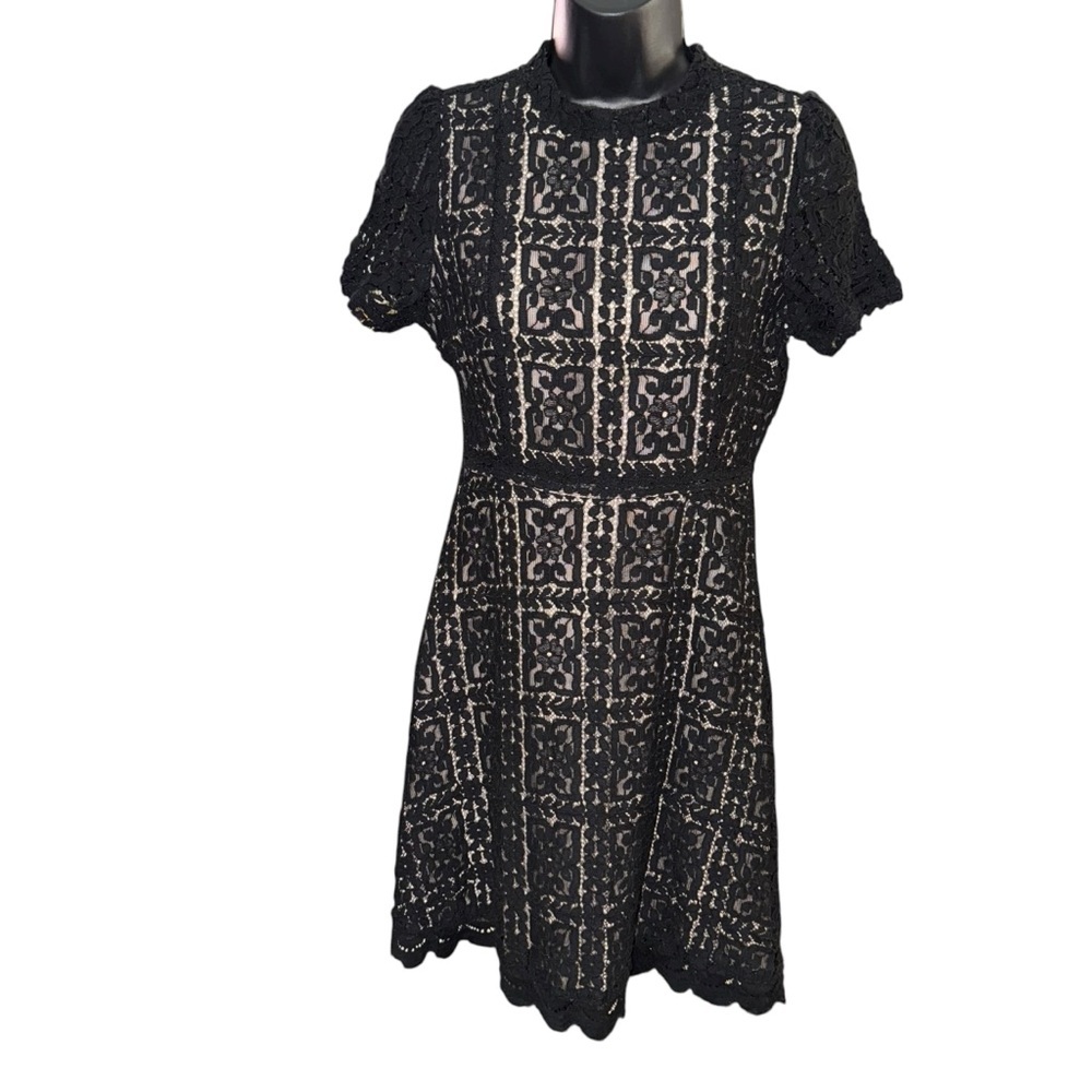 BB Dakota Black Lace Fit Flare Cocktail Dress Size 6 Scalloped Hem LBD - Picture 2 of 9